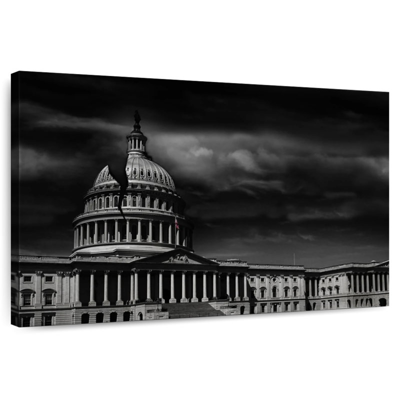 Lilie Capitole américain monochrome, H 8 po x l 12 po