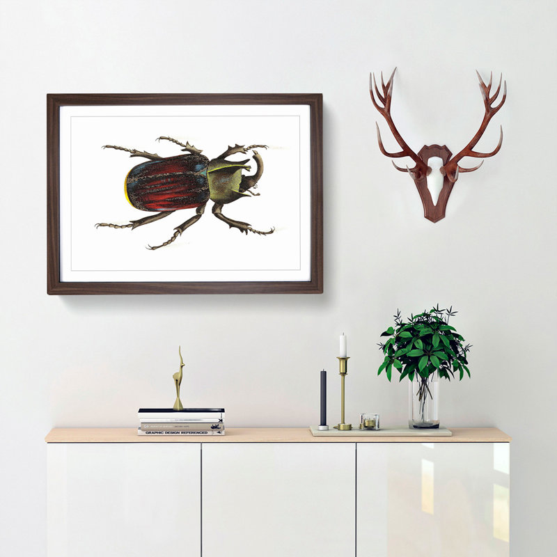 Typhon Beetle by George Shaw - Picture Frame Painting Print, 27cm H x 36cm W x 2cm D, Walnut Framed