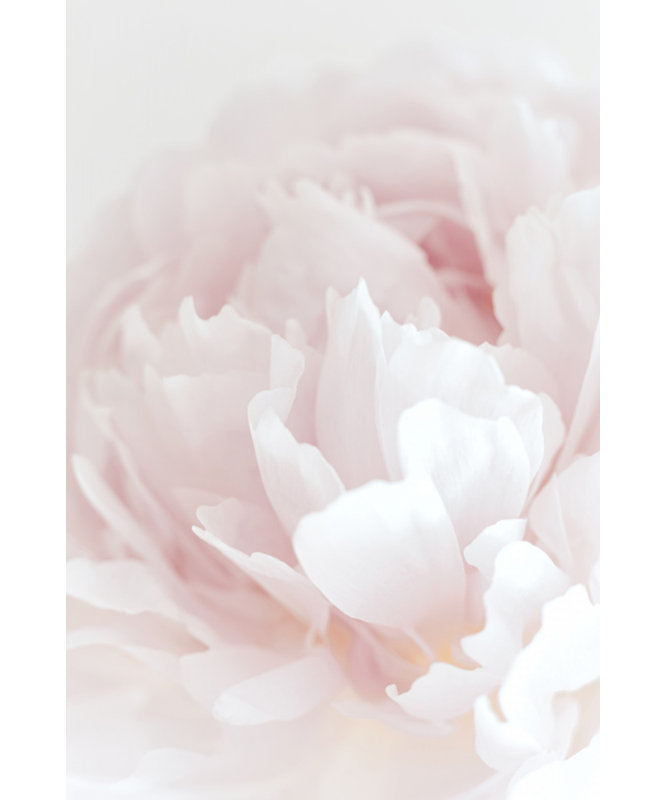 Wrapped Canvas Print, 60.96 cm H x 91.44 cm W