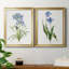 «Blue Lived Botanical I», ensemble de 2 reproductions d'art sur toile encadrées-61455434-61455436