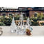 Snowdrift Evergreen-1092558814