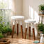 Tier Plant Stand