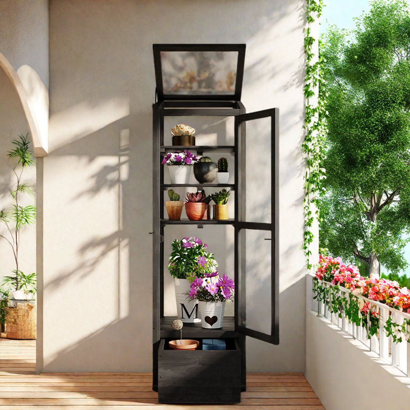 Black Fir Wood Garden Greenhouse with Adjustable Shelves and Storage Box