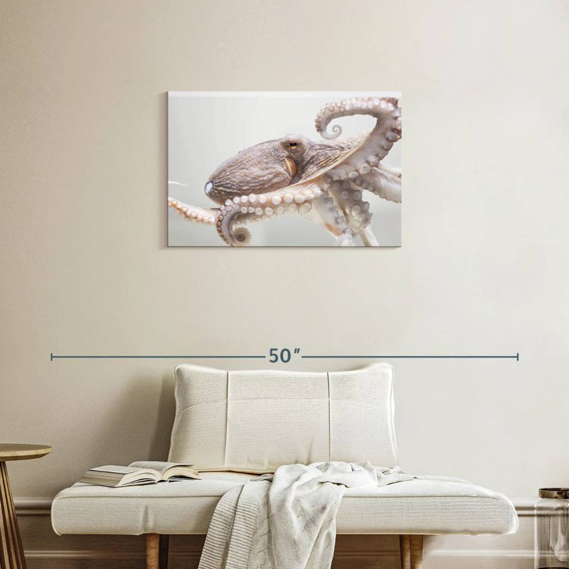 Pieuvre d'aquarium