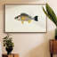 Collection de poissons tropicaux III, reproduction sur toile encadrée-94354248-94354249