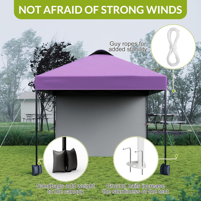 10' X 10‘ Pop Up Canopy With Sidewalls For Outdoor, Waterproof Portable Canopy With One Push Setup, Purple