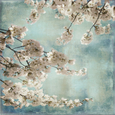 Aqua Blossoms II - impression sur toile tendue