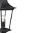 Pikeville Seeded Lantern Head