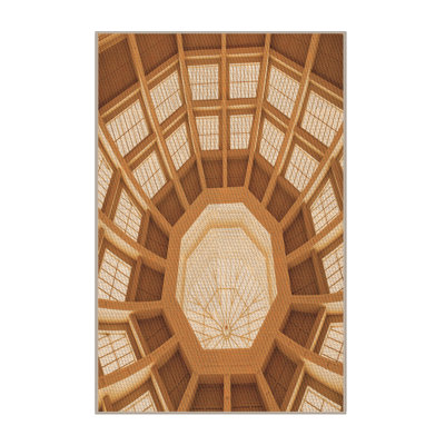 Indoor Rug
