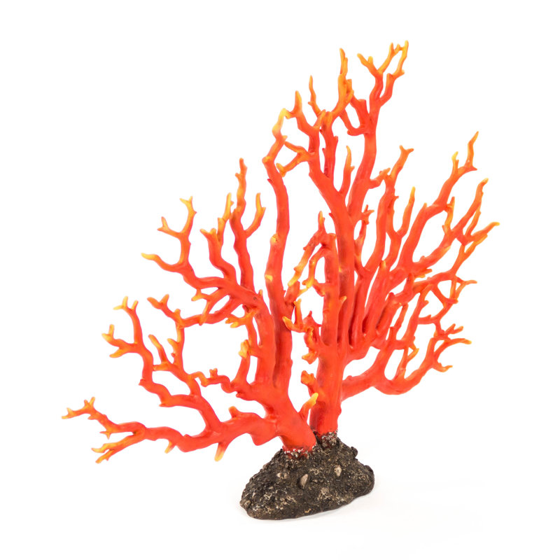 Decorative Coral, 20" H x 30" W x 5" D