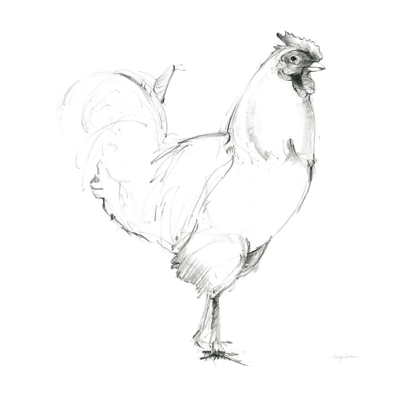 Rooster II Dark by Albena Hristova - Wrapped Canvas Print, 30cm H x 30cm W x 3.8cm D