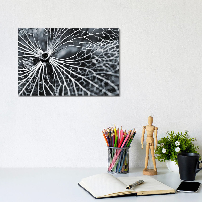 Winterspell by Design Fabrikken - Wrapped Canvas Gallery-Wrapped Canvas Giclée, 20.32 cm H x 30.48 cm W