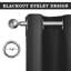 Ruffo Blackout Eyelet Synthetic Room Darkening 100 % Polyester Thermal Curtain-2141487345-2141487349