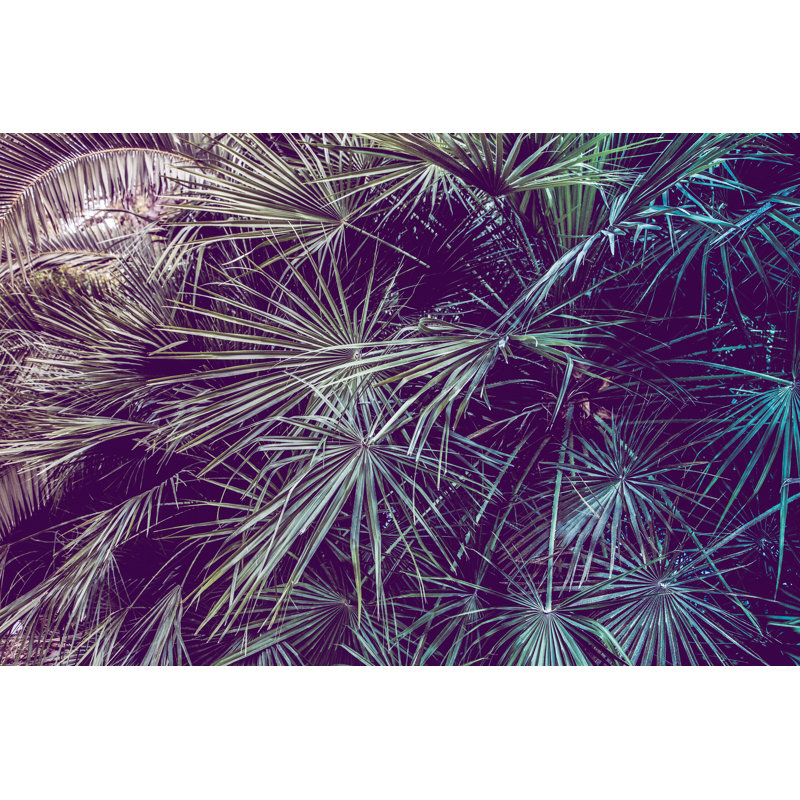 Palm Leave Background - Wrapped Canvas Print, 20cm H x 30cm W x 3.8cm D