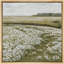 Tranquil Field of White Flowers, reproduction d'art sur toile-852101507-852101533
