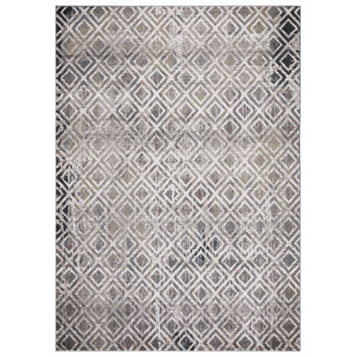 Adriaens Geometric Indoor Rug