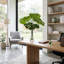 Split Leaf Philodendron In Water-1357594657