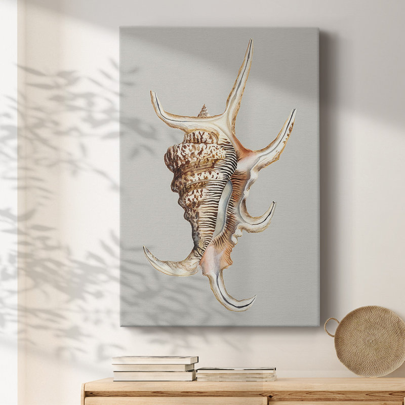 Spider Conch, reproduction d'art sur toile, H 12 po x l 8 po