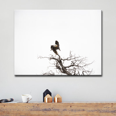 Pygargue à tête blanche par Bartlett Hayes - reproduction de photo sur toile