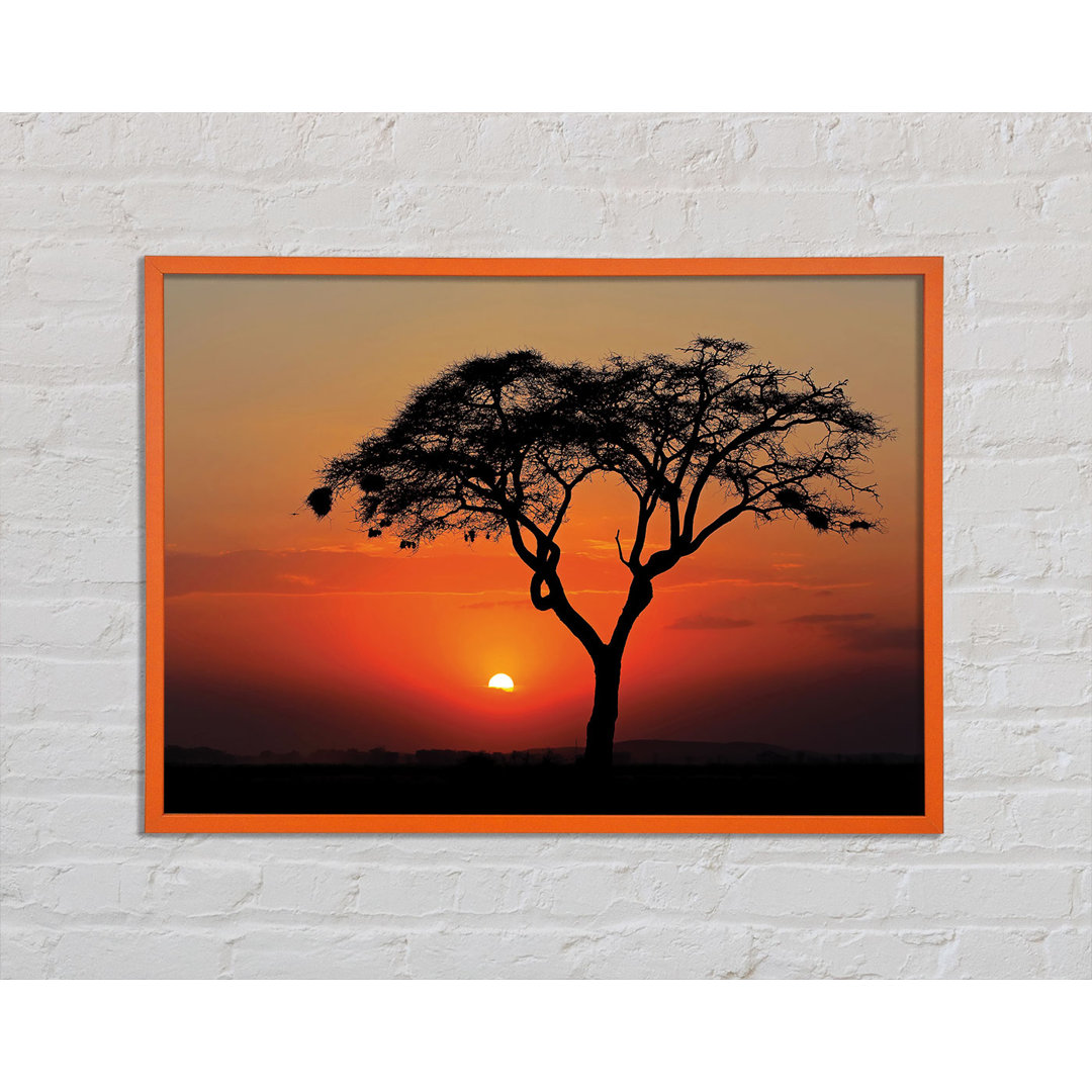 Andrie African Sunset - Einzelner Bilderrahmen Kunstdrucke