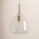 Ryia Single Light Glass Steel Dimmable Pendant
