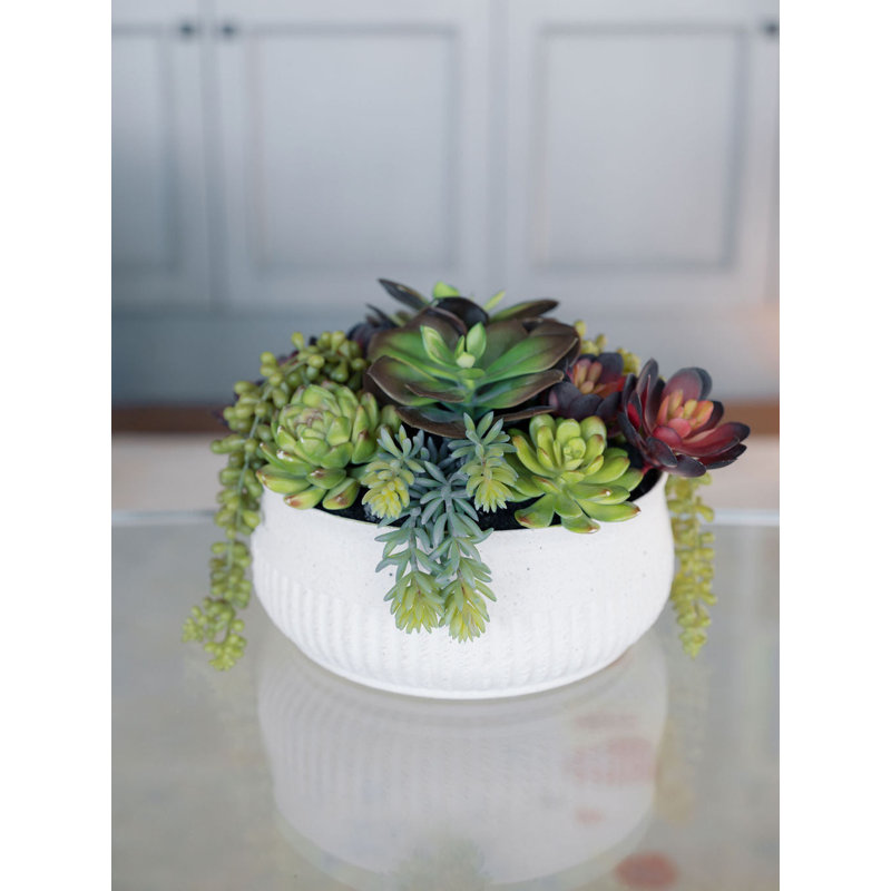 12" Succulent Arrangement