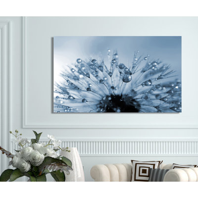 « dewy pissenlit fleur full », reproduction de photo sur toile tendue