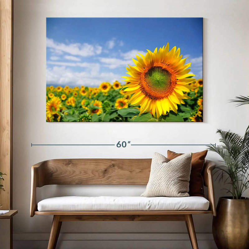 Champ de tournesols Harnek Akeno