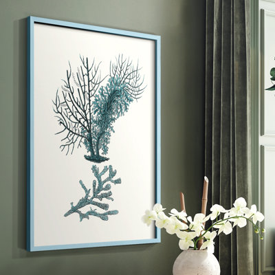 Antique Coastal Coral VI Framed Print - Solid Wood