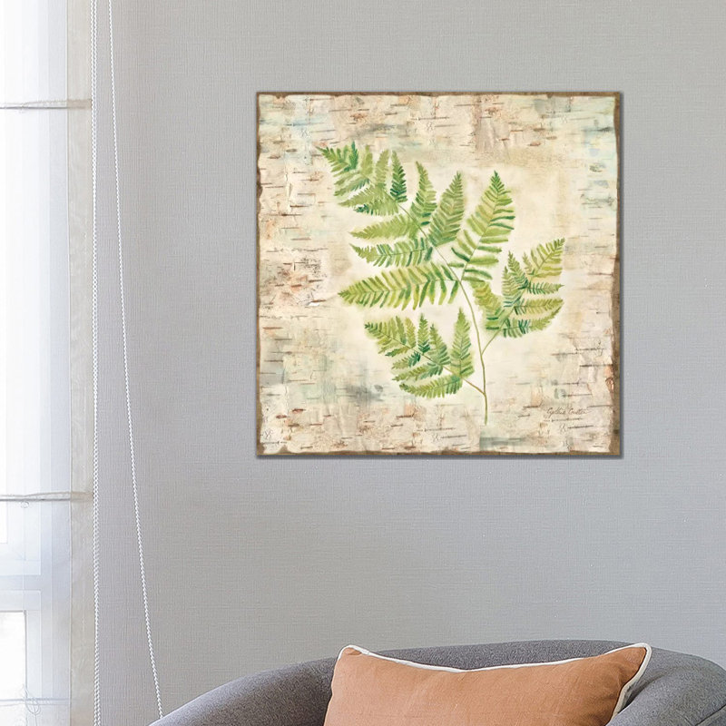 Birch Bark Ferns II by Cynthia Coulter - Wrapped Canvas Painting, 66.04 cm H x 66.04 cm W x 3.175 cm D