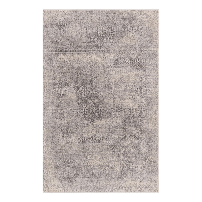 Kater Indoor Rug, Rectangle 3'3" x 5'3"