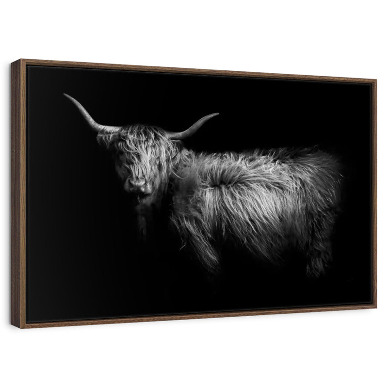 Hello Highland Cow, Cadre flottant en noyer, 40 po x 27 po