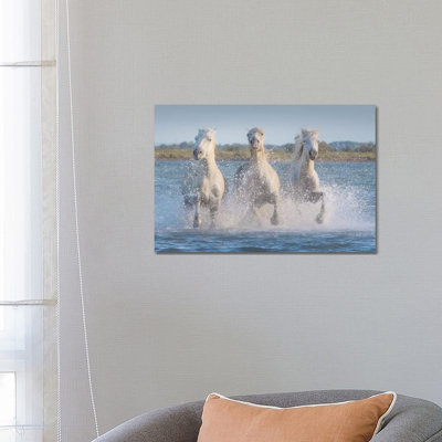 White Angels Of Camargue XVIII by Daniel Kordan - Wrapped Canvas Print