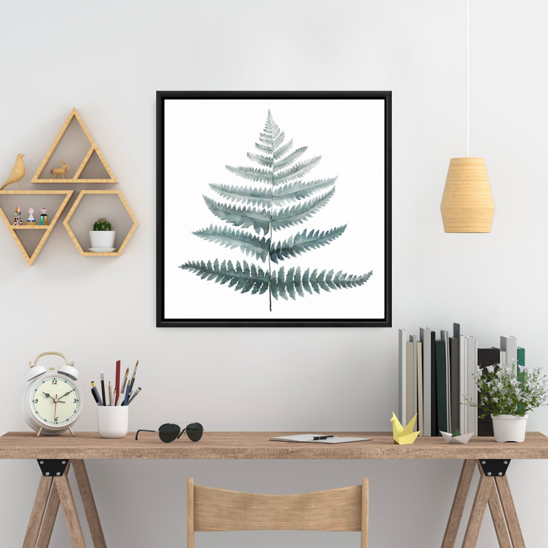 " Fern "