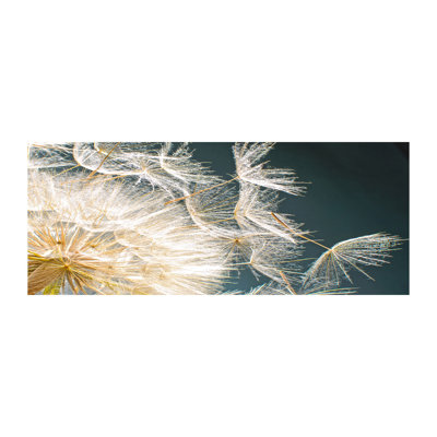 Dandelion Seeds - Wrapped Canvas Print