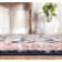 Bourgoin Oriental Indoor Rug