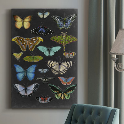 «Graphic Butterfly Taxonomie I», peinture sur toile tendue