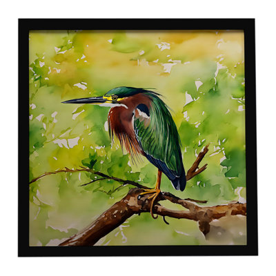 Green Heron Framed Metal Print