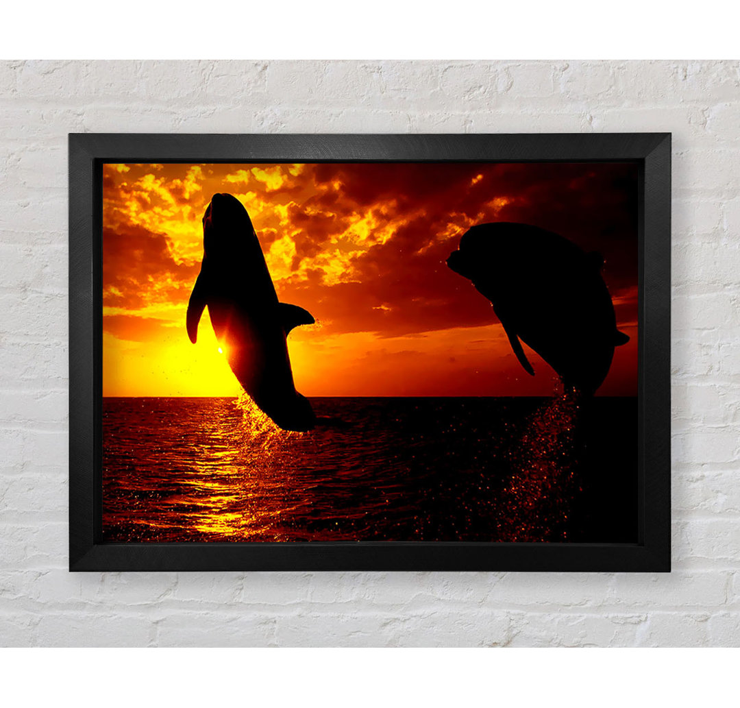 Gerahmter Fotodruck Dolphins Sunglow