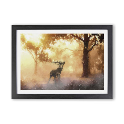 Deer Stag In An Autumn Forest - Single Picture Frame Print