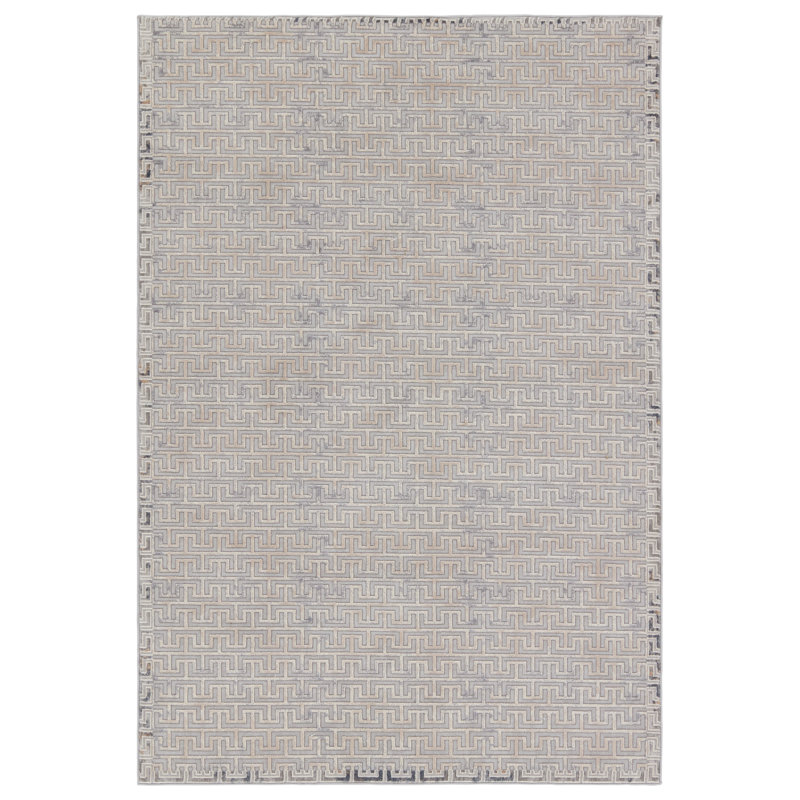 Tapis géométrique gris / beige en polypropylène / polyester tissé à la machine, Tapis de couloir 2 pi 6 po x 10 pi