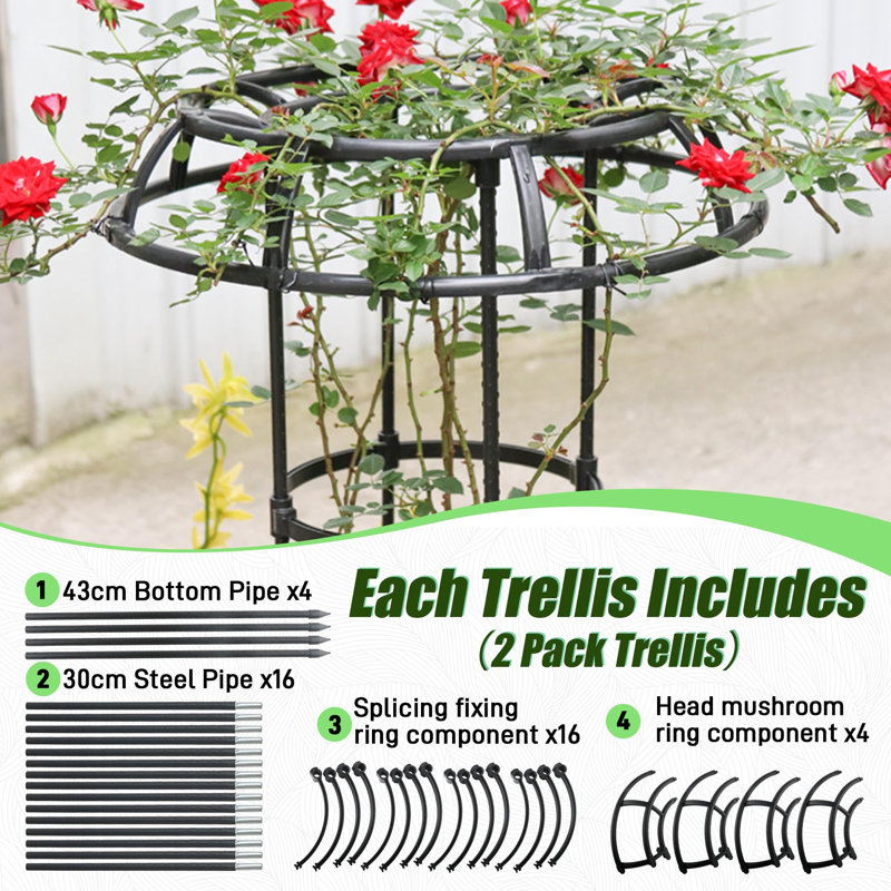 Treillis de jardin à sommet champignon de 165 cm pour plantes grimpantes, lot de 1