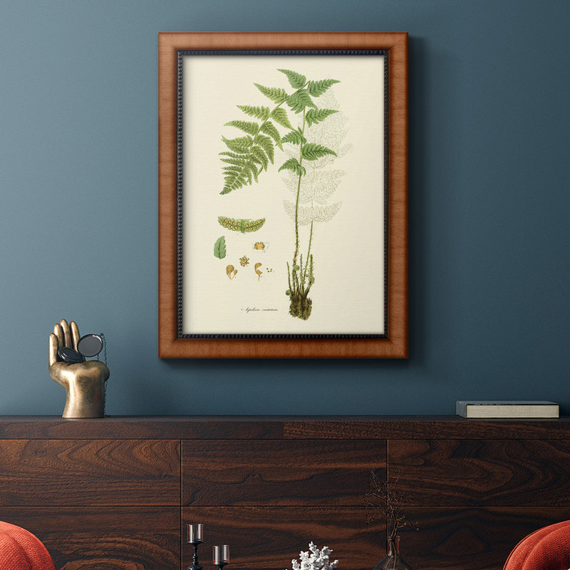 Toile encadrée de qualité supérieure «Curtis Ferns I» - prête à être accrochée, H 20 po x l 16 po x P 2,5 po