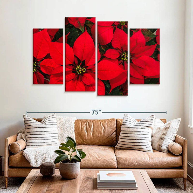 Harnek cramoisi poinsettia