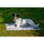 Crochet Nylon Pet Bed