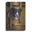 " Border Collie Exploring " by John Silver