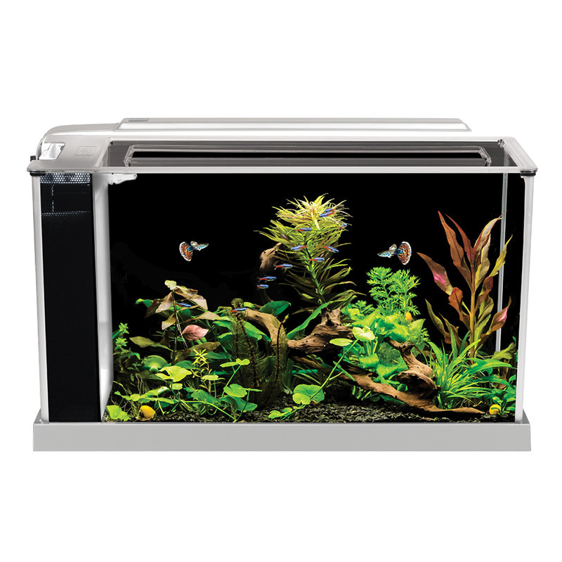 Aquarium Fluval Spec V, 5 gallons, blanc, Noir