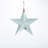 Set of 2 Metal Spring Bird Design Wall Hanging Star