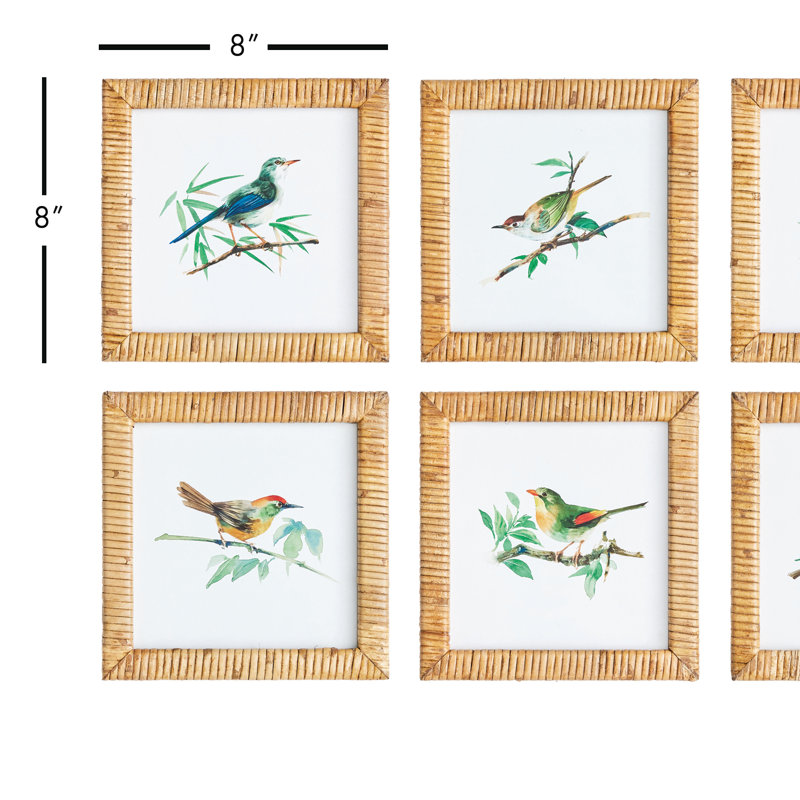 Petits oiseaux de Saarrah