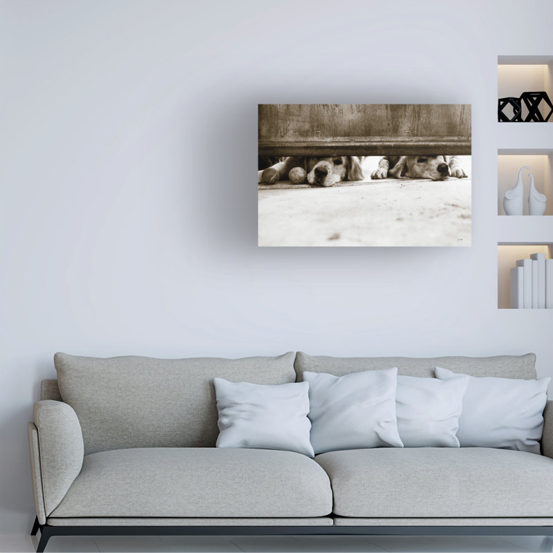 «We See You V2» par Jim Dratfield - photographie sur toile tendue, H 12 po x l 19 po x P 2 po